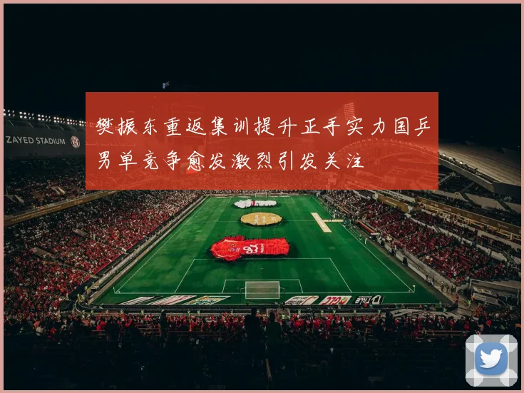 樊振东重返集训提升正手实力国乒男单竞争愈发激烈引发关注